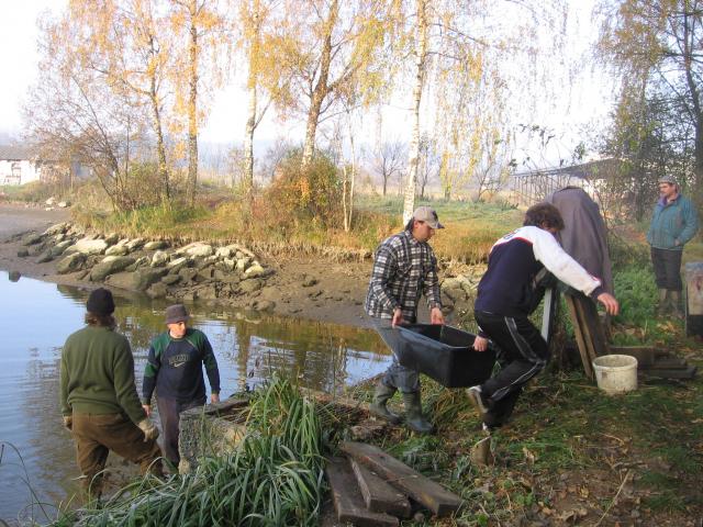 10-vylov-rybnika-29.10.2010 173